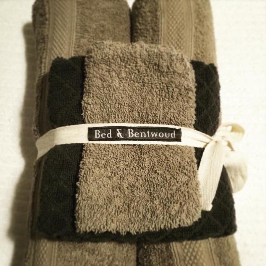 Benthuizen Bed & Bentwoud Bed & Breakfast エクステリア 写真