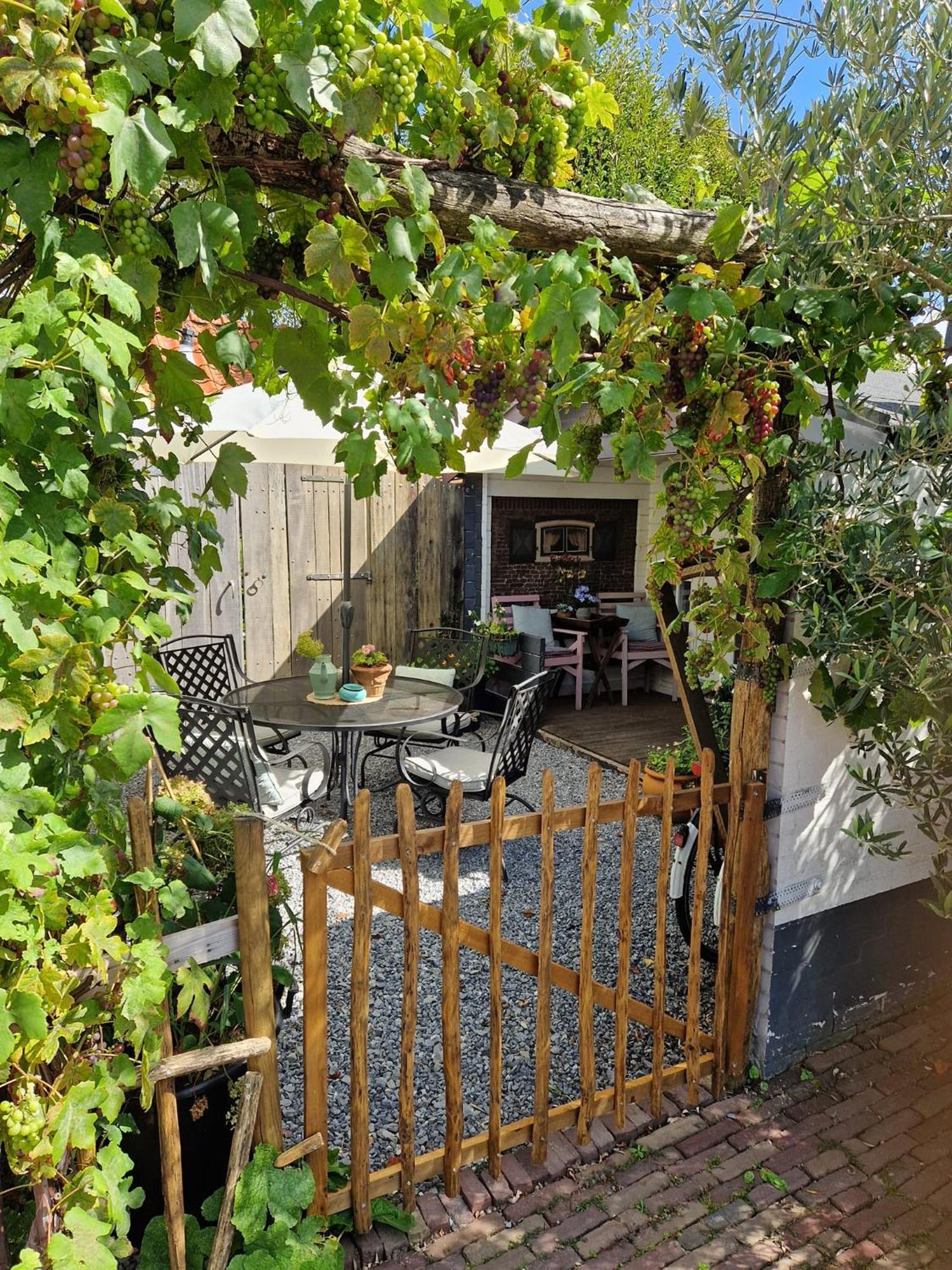 Benthuizen Bed & Bentwoud Bed & Breakfast エクステリア 写真